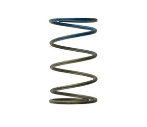 Gen4 / IWG WG38/40/45/50L 10PSI OUTER SPRING - BROWN/BLUE