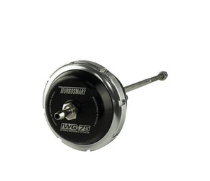 IWG75 TP BW B2 Single/Twin Scroll 14PSI