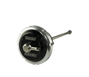 IWG75 BW B2 Single/Twin scroll 14 PSI