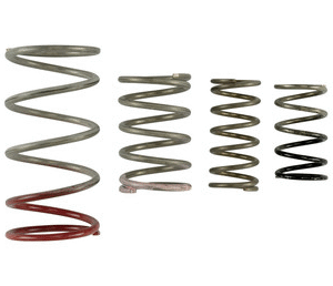 GenV IWG Spring Replacement Kit